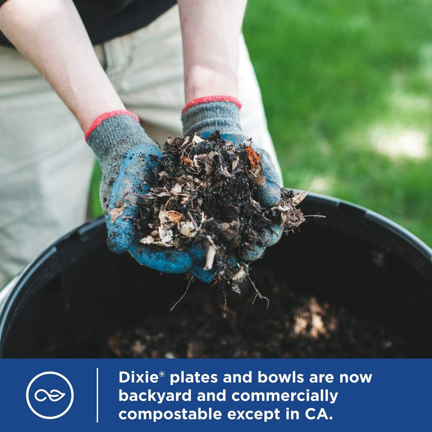 Dixie 10 in Compostable Paper Plates; image 4 of 7