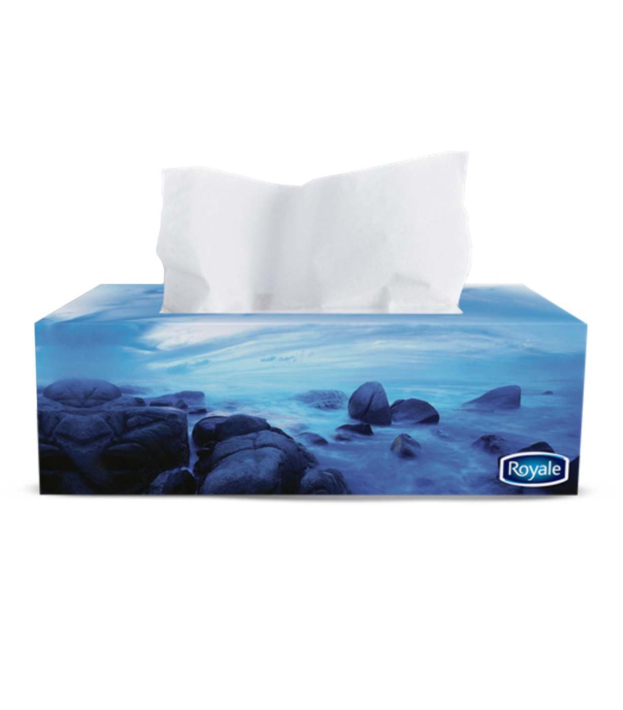 Royale 2-Ply Facial Tissue; image 2 of 2