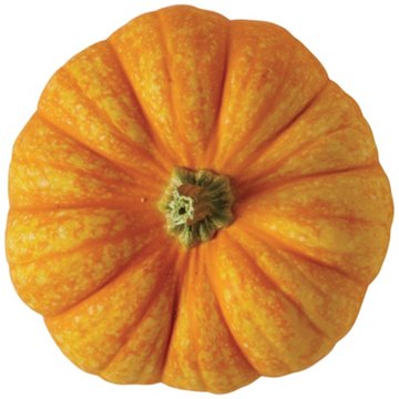 H-E-B Texas Roots Orange Sparkler Pumpkin
