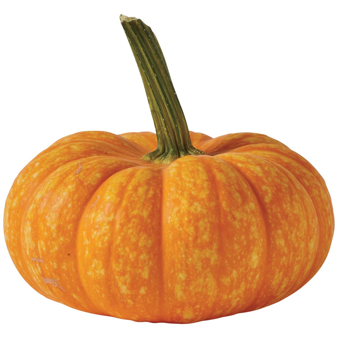 H-E-B Texas Roots Orange Sparkler Pumpkin; image 3 of 5