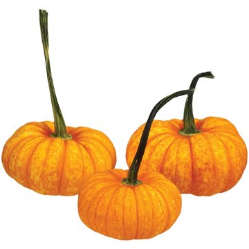 H-E-B Texas Roots Orange Sparkler Pumpkin