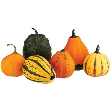 H-E-B Texas Roots Autumn Galore Pumpkin