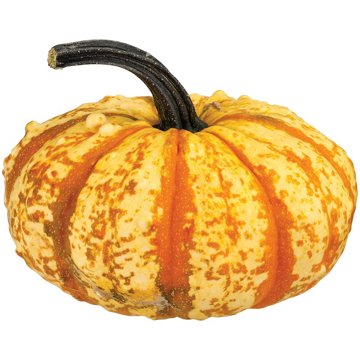 H-E-B Texas Roots Little Sprites Pumpkin