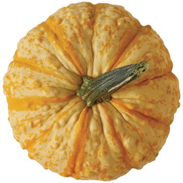 H-E-B Texas Roots Little Sprites Pumpkin