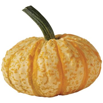 H-E-B Texas Roots Little Sprites Pumpkin