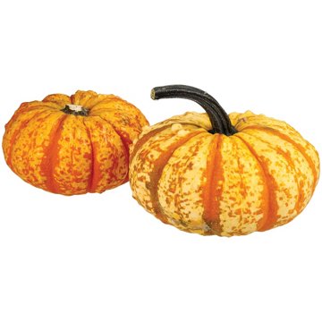 H-E-B Texas Roots Little Sprites Pumpkin