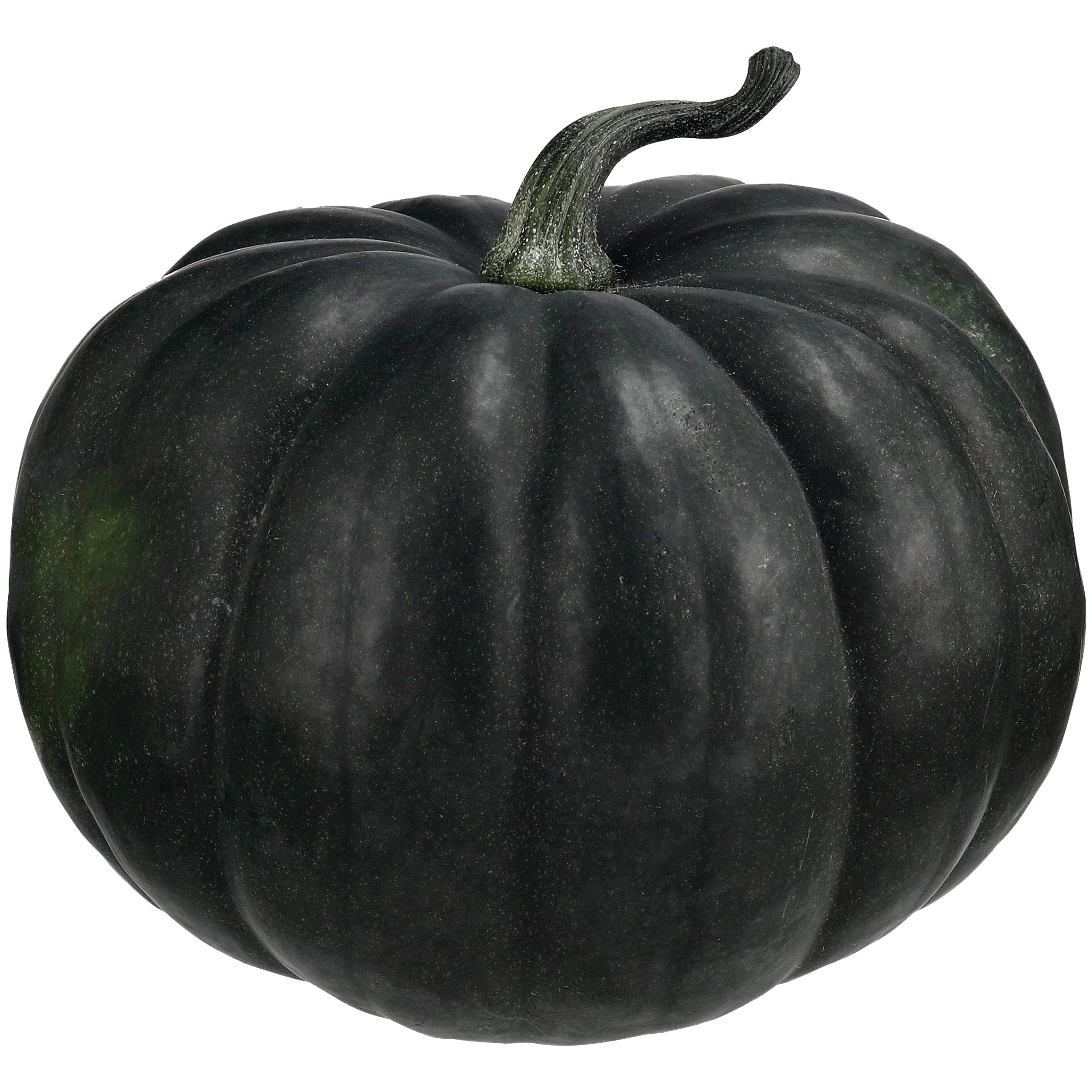 Fresh Midnight Pumpkin Shop Squash & Pumpkins at HEB