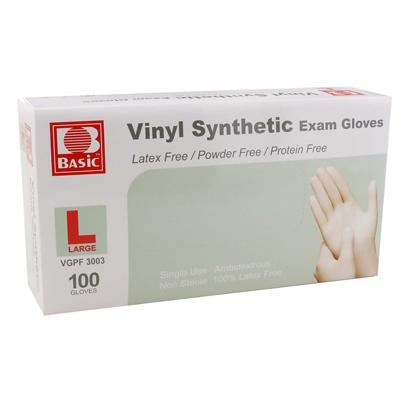 Houseware International Vinyl Disposable Gloves Large - Shop Medicines ...