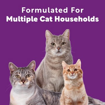 Scoop Away Multi Cat Clumping Cat Litter - Meadow Fresh Scent, 38 lbs