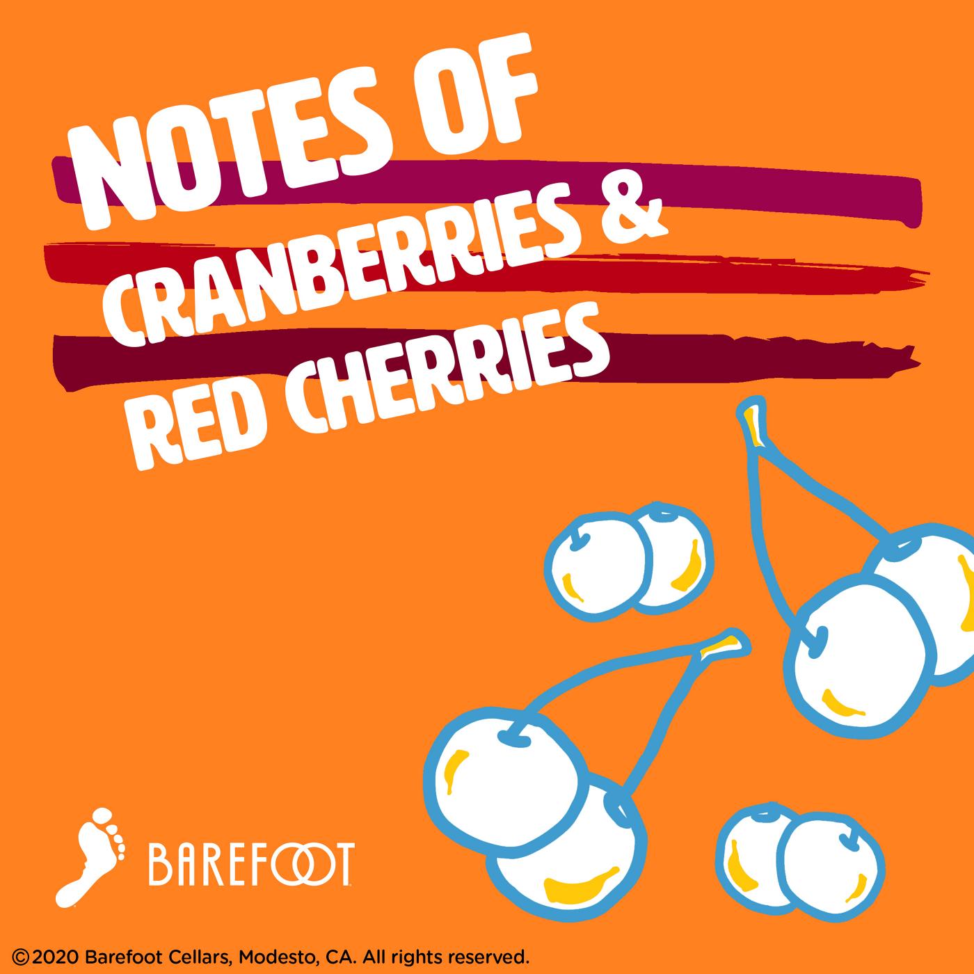 Barefoot Wine Hard Seltzer Cherry & Cranberry 250 mL; image 3 of 6