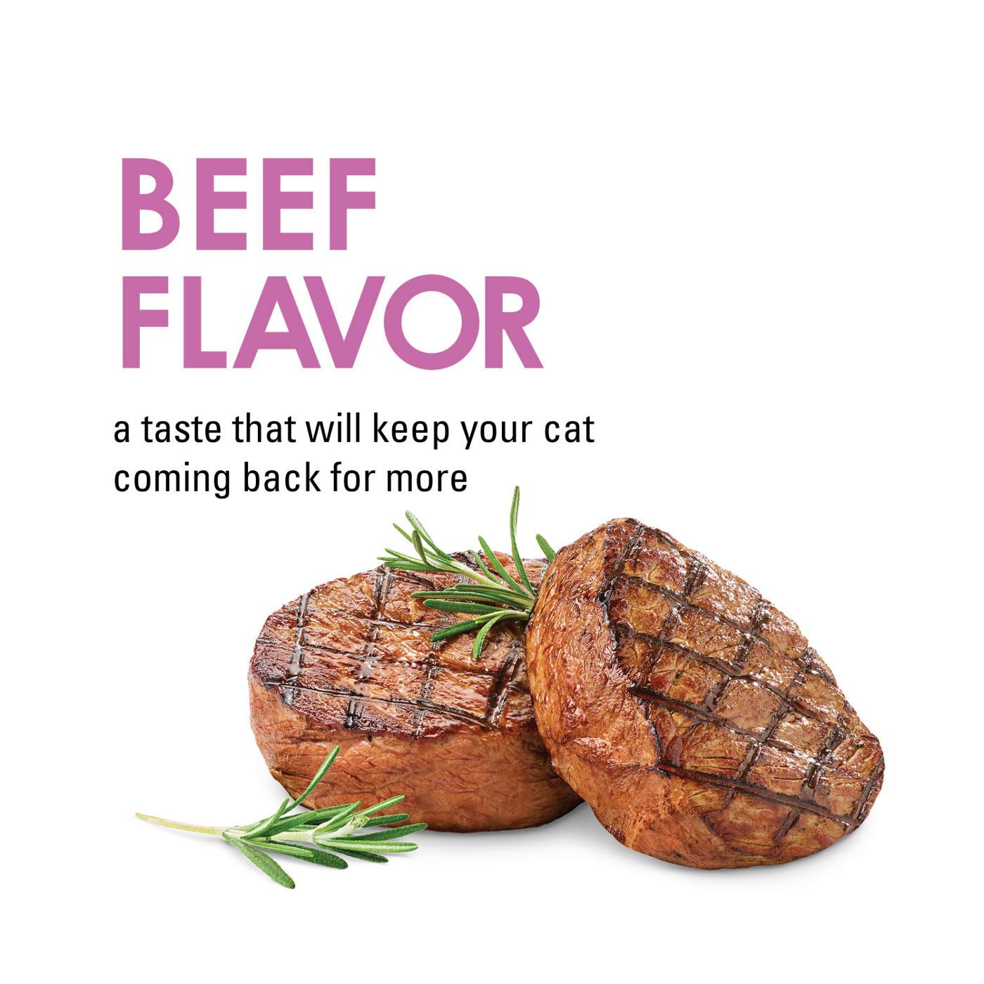 Fancy Feast Purina Fancy Feast Limited Ingredient Cat Treats, Savory Cravings Beef Flavor; image 7 of 9