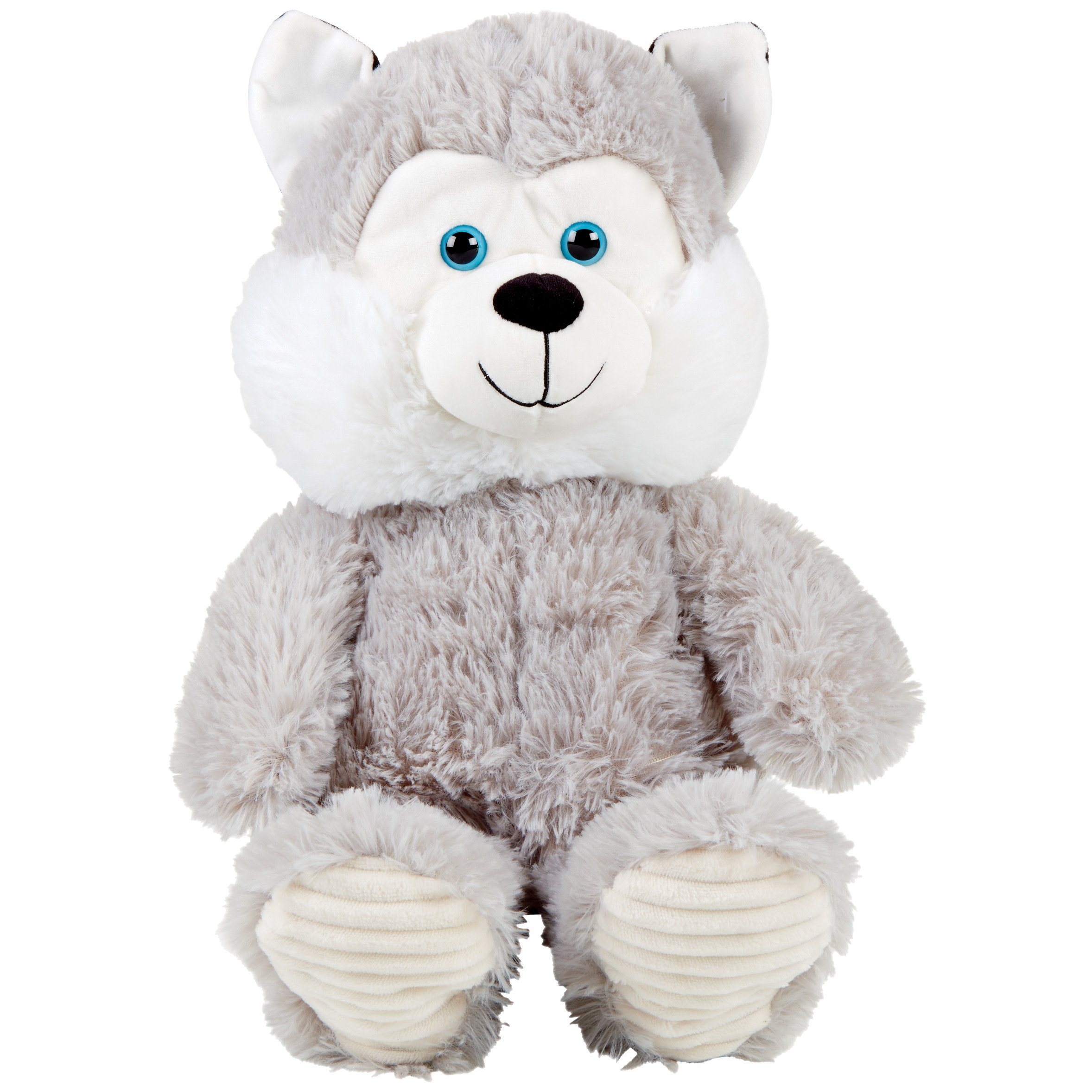 husky dog teddy