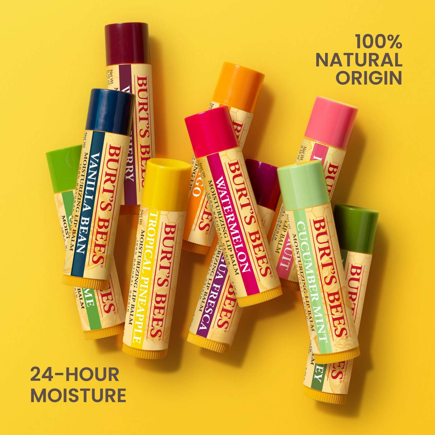 Burt's Bees Moisturizing Lip Balm Pack - Assorted; image 3 of 11