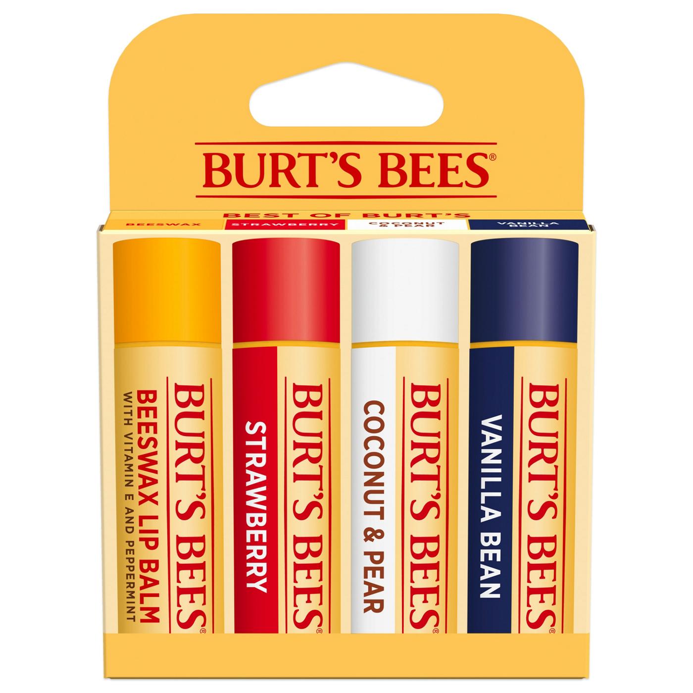Burt's Bees Moisturizing Lip Balm Pack - Assorted; image 1 of 11