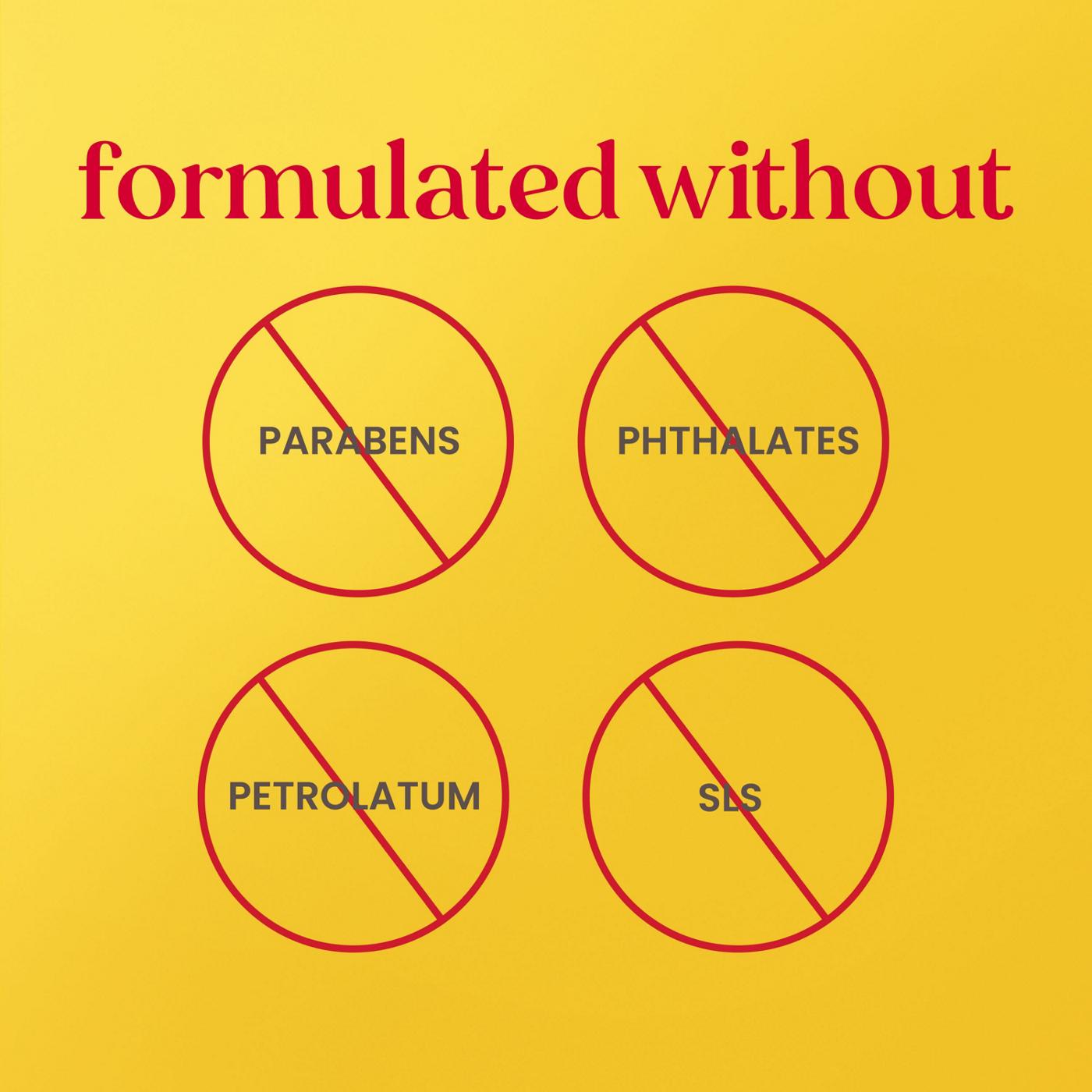 Burt's Bees Moisturizing Lip Balm Pack - Assorted; image 5 of 11