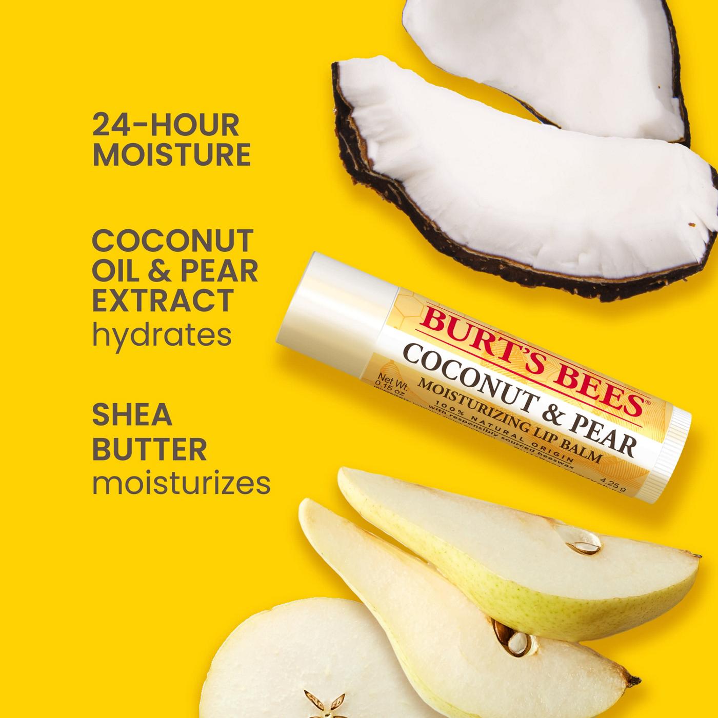 Burt's Bees Moisturizing Lip Balm Pack - Assorted; image 6 of 11