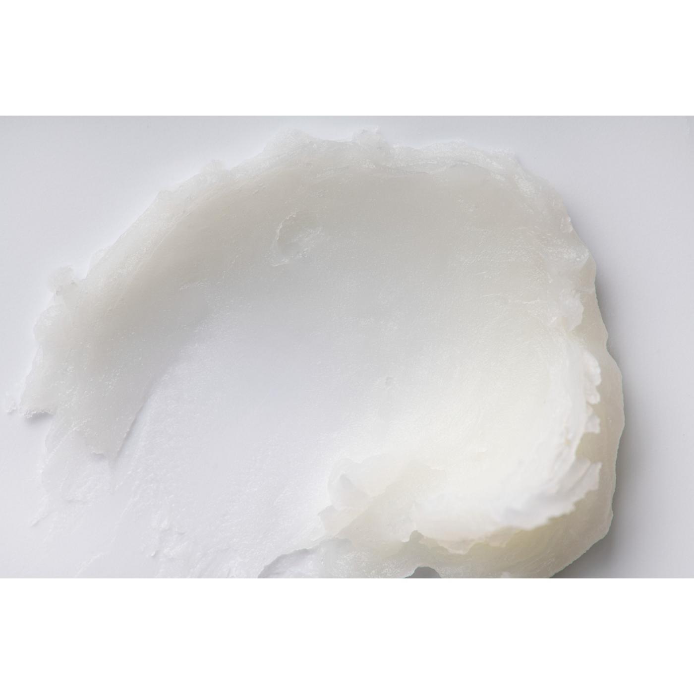 Burt's Bees Moisturizing Lip Balm Pack - Assorted; image 10 of 11