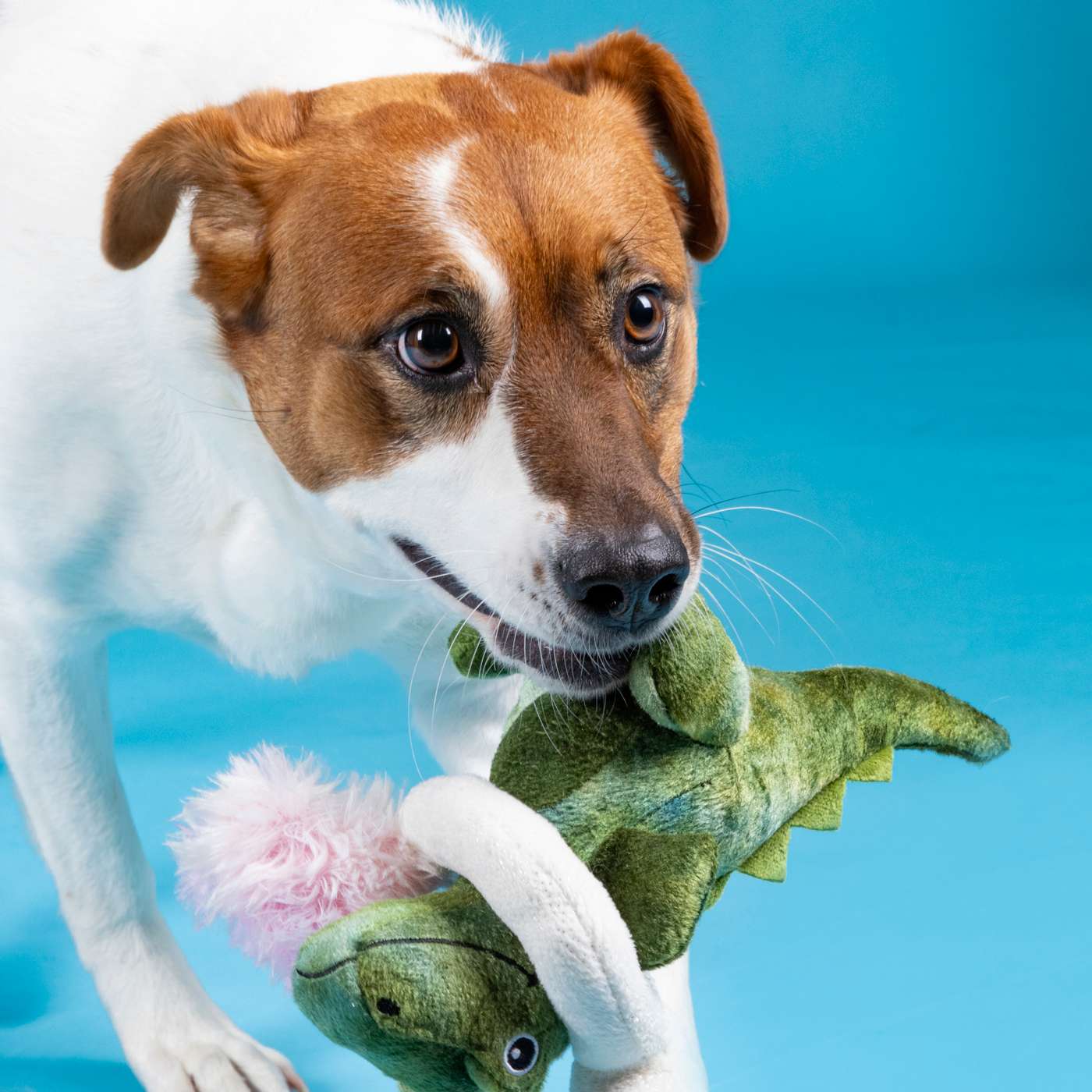 Woof & Whiskers Plush Dog Toy - T-Rex; image 3 of 4