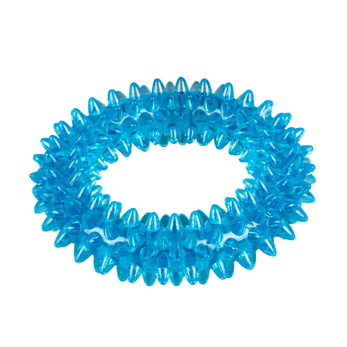 Woof & Whiskers Spiky Minty Ring Dog Toy; image 1 of 5
