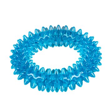Woof & Whiskers Spiky Minty Ring Dog Toy