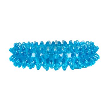 Woof & Whiskers Spiky Minty Ring Dog Toy