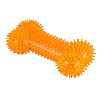Woof & Whiskers Spiky Squeaky Dog Bone Toy