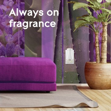 Glade PlugIns Scented Oil Air Freshener Refills - Tranquil Lavender & Aloe