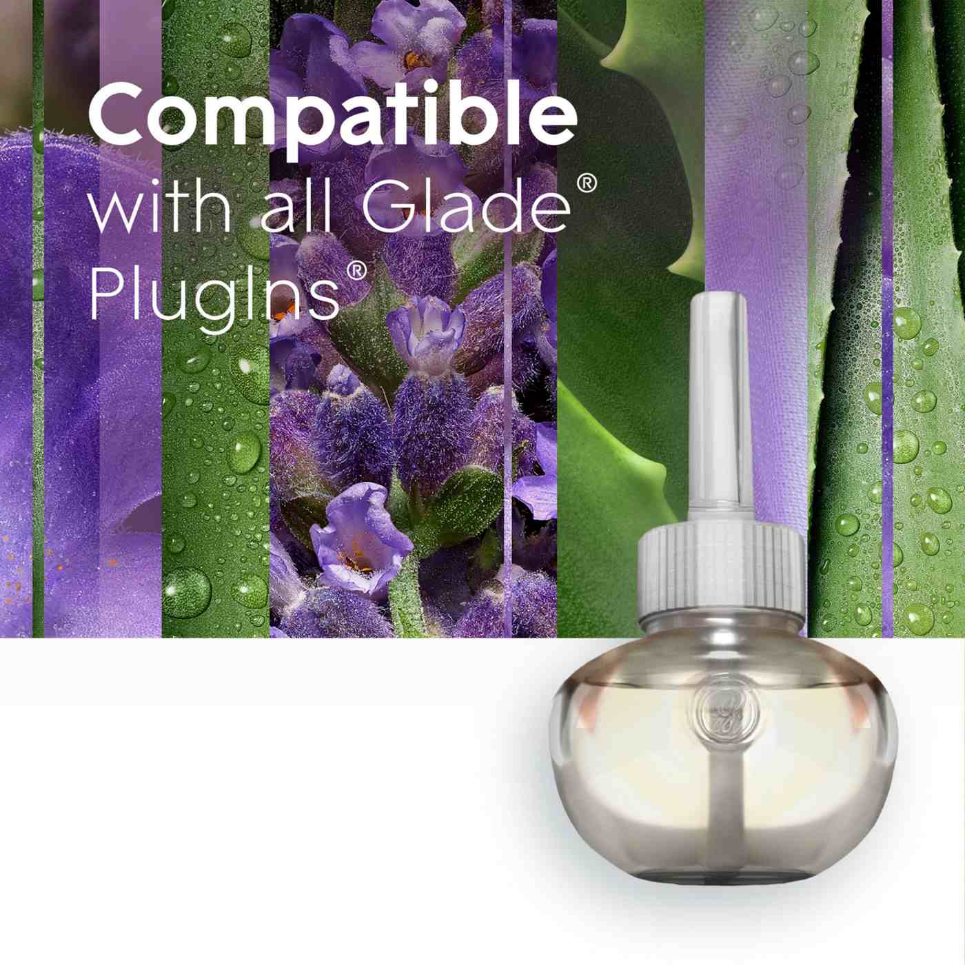 Glade PlugIns Scented Oil Air Freshener Refills - Tranquil Lavender & Aloe; image 5 of 14