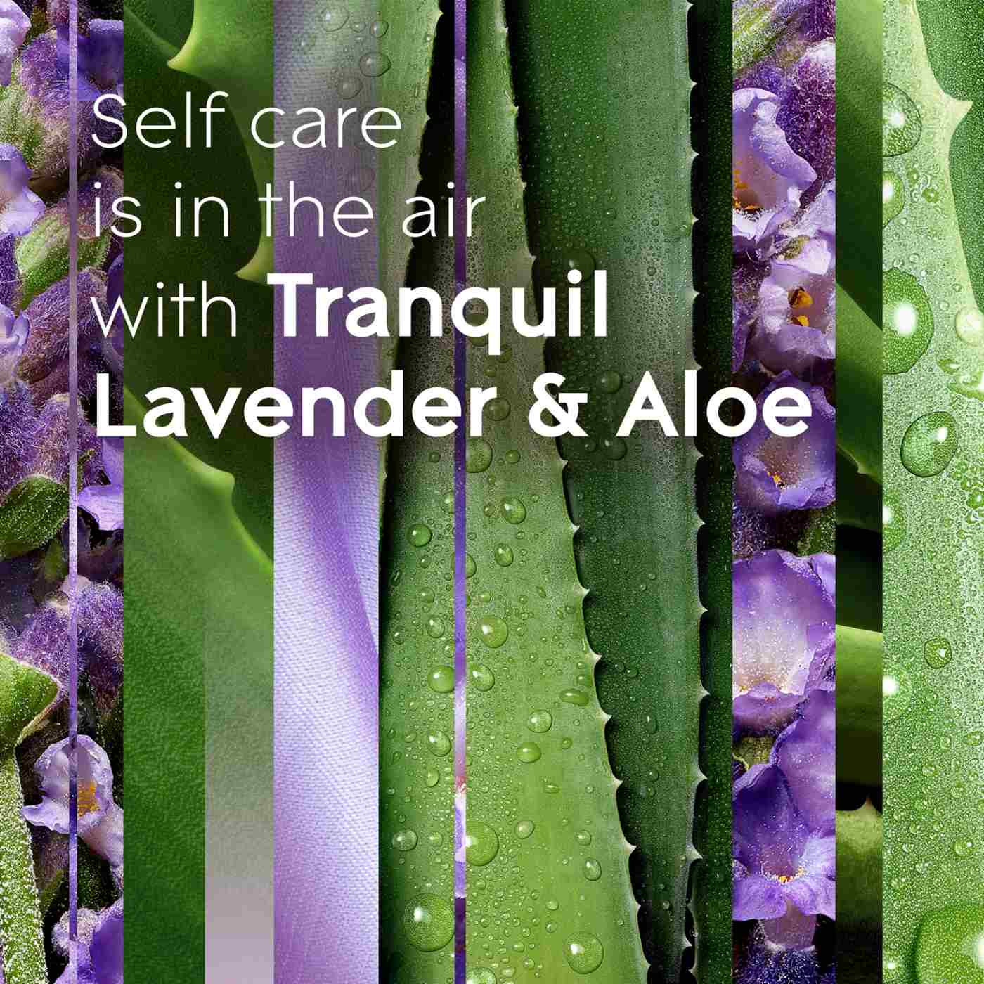 Glade PlugIns Scented Oil Air Freshener Refills - Tranquil Lavender & Aloe; image 6 of 14