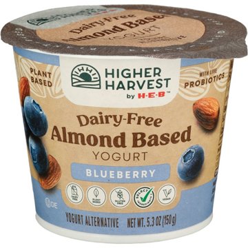 Higher Harvest by H-E-B Dairy Free Almond-Based Yogurt – Blueberry