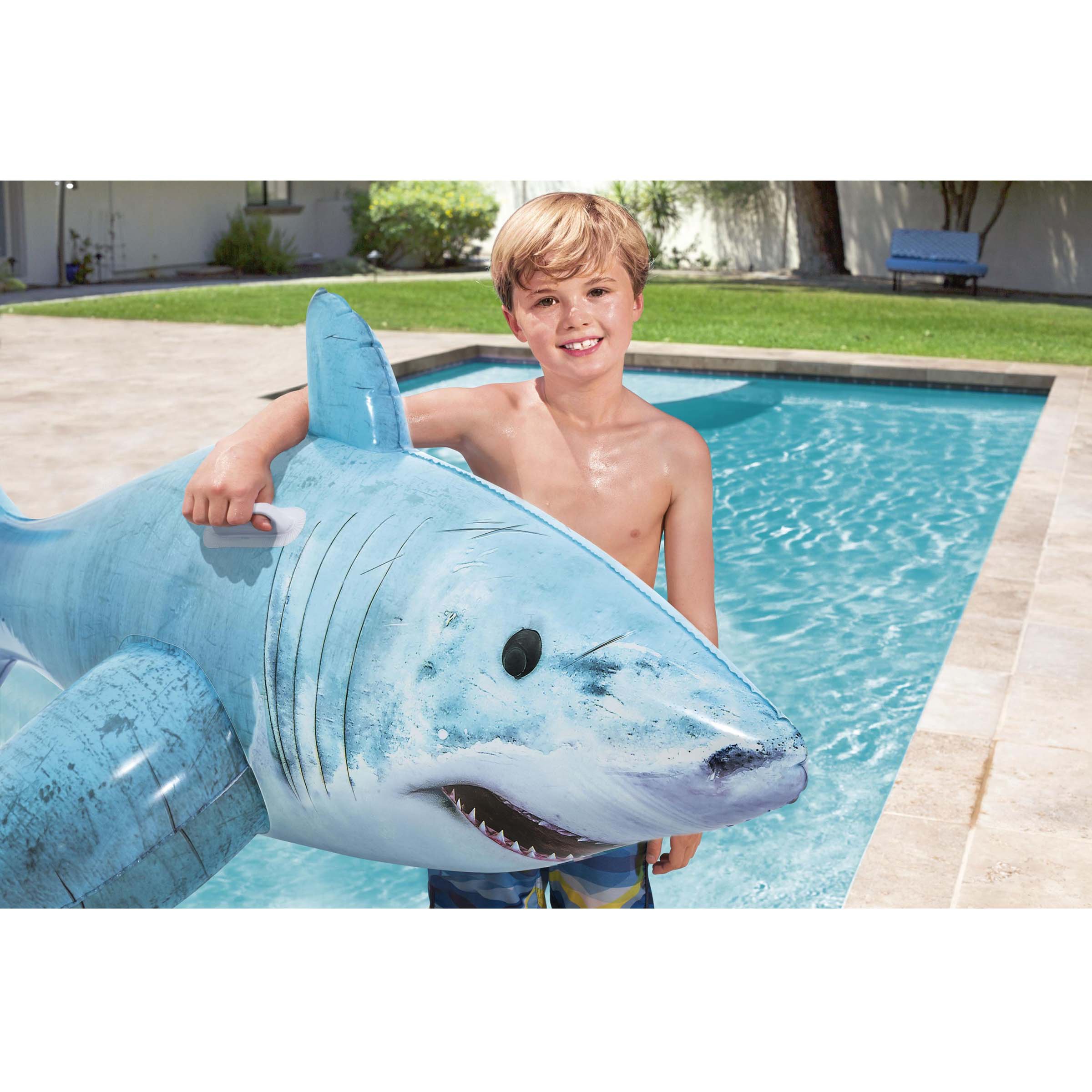 Realistic shark pool store toy