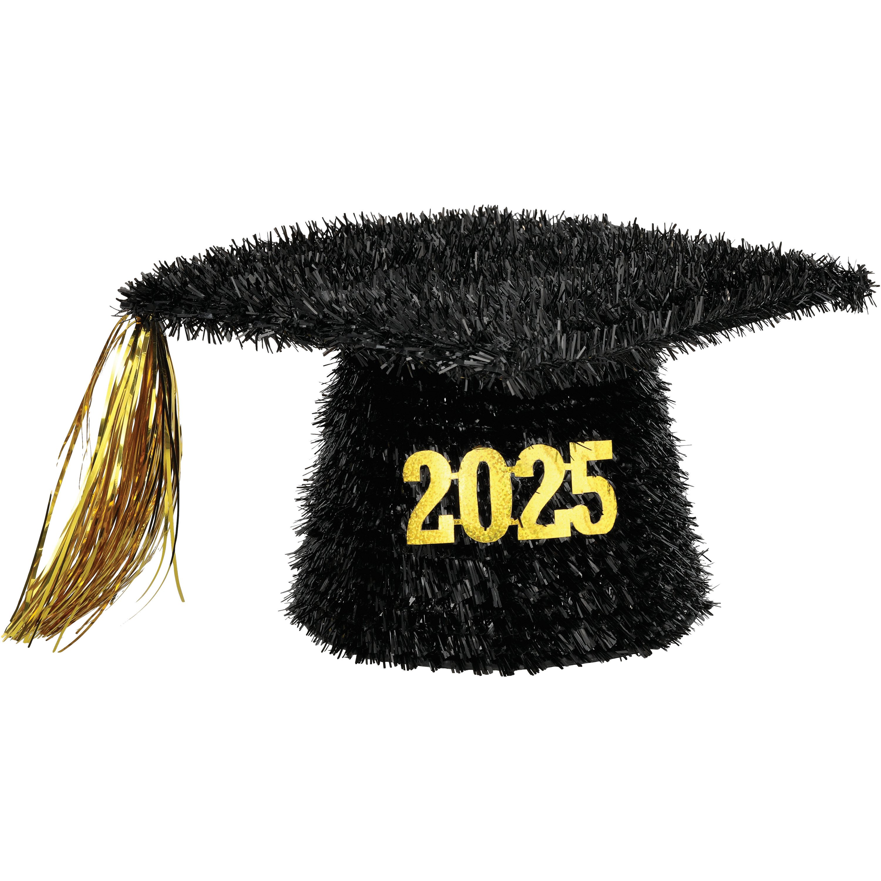 FC Young Tinsel 3D 2024 Graduation Cap Tabletop Decor Shop Party