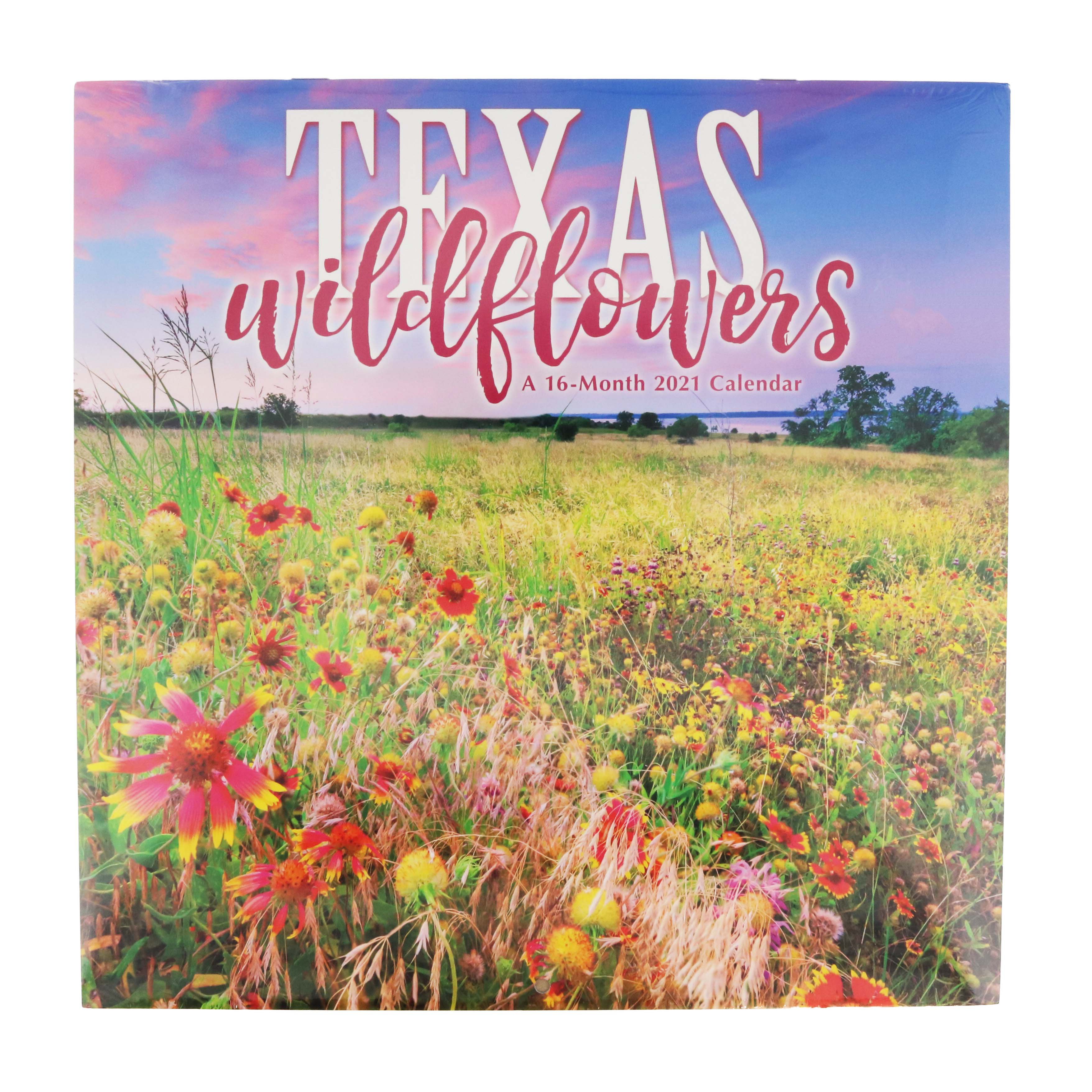 Trends International Texas Wildflowers 2021 Wall Calendar Shop School