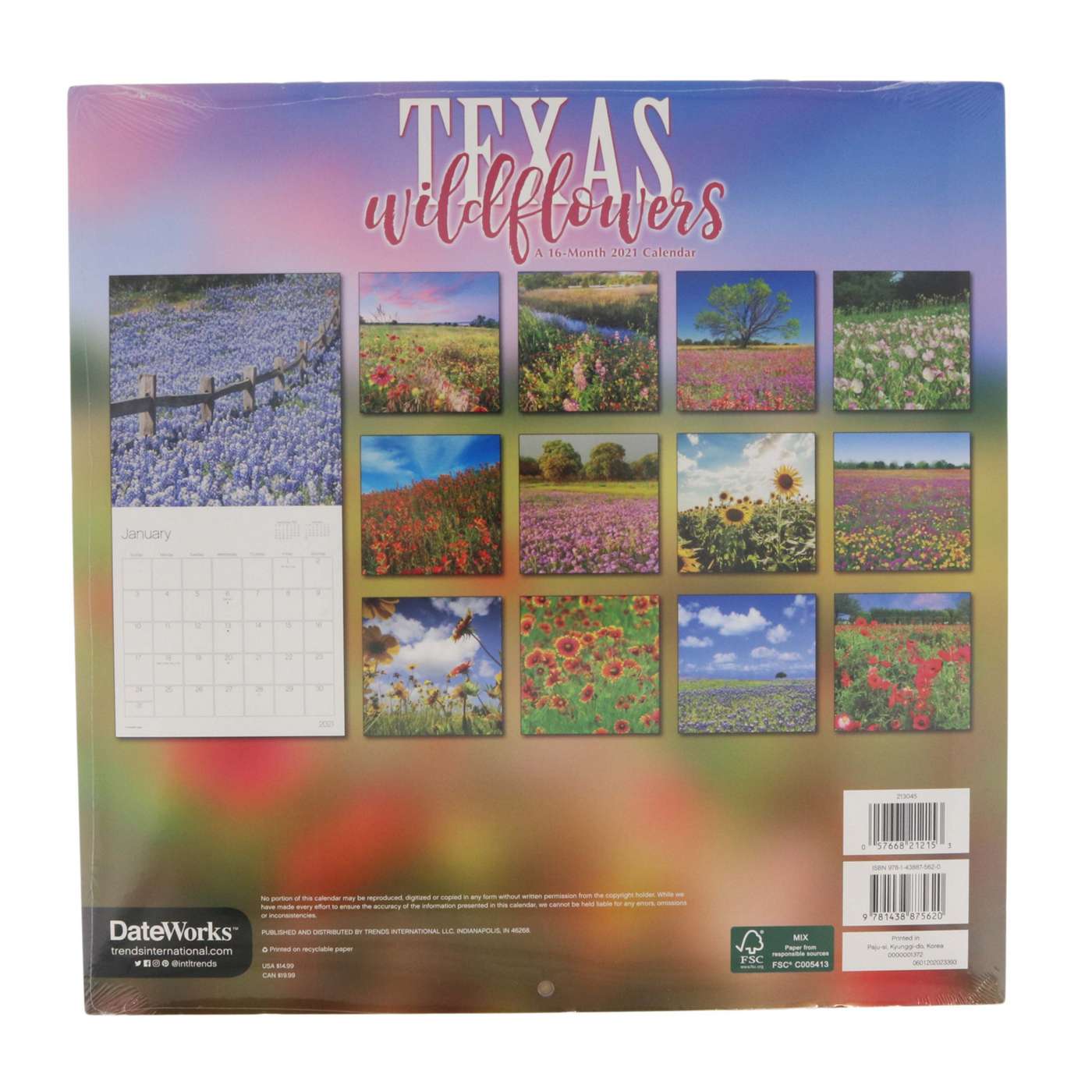 Trends International Texas Wildflowers 2021 Wall Calendar; image 2 of 2