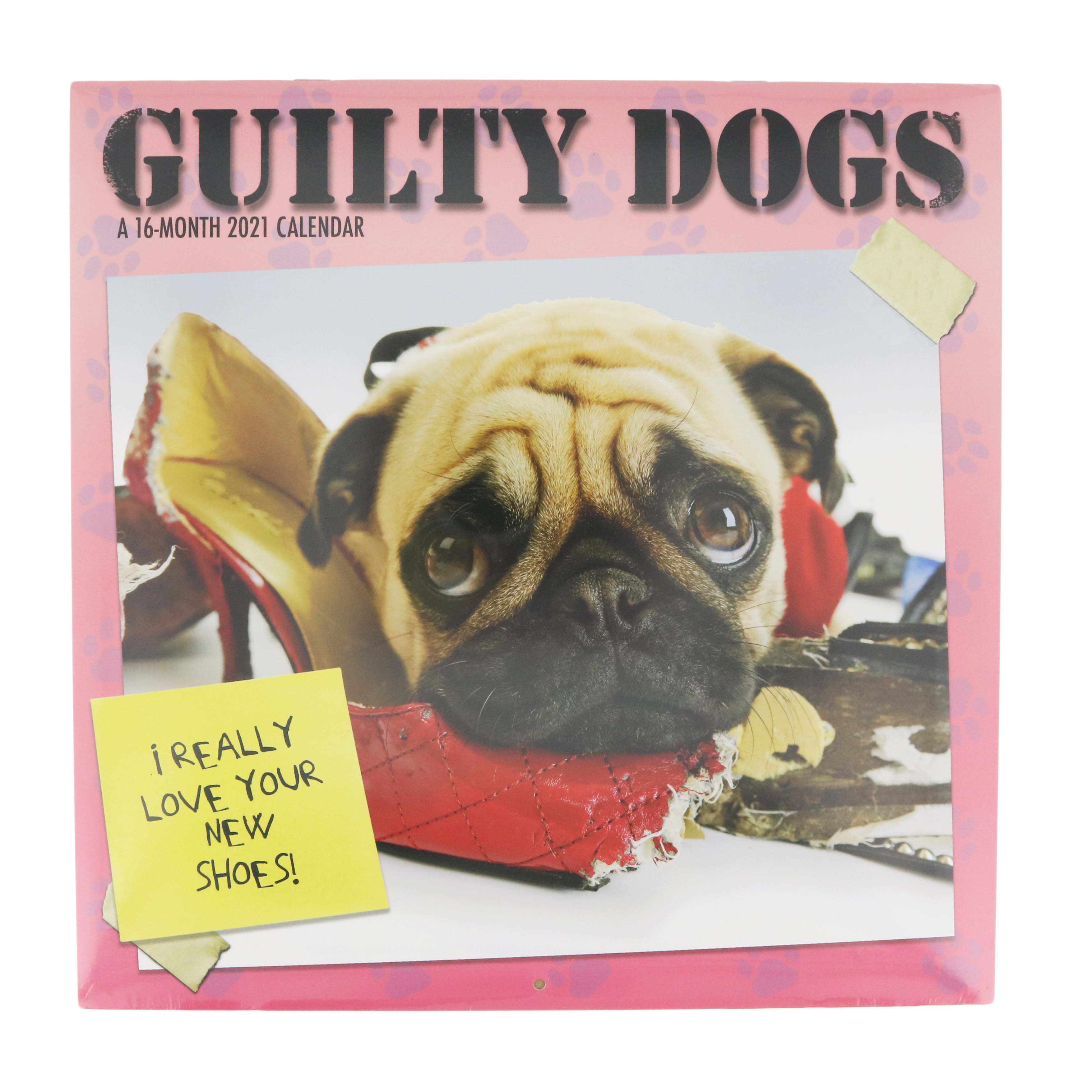 Trends International Guilty Dogs 2021 Wall Calendar Shop Planners