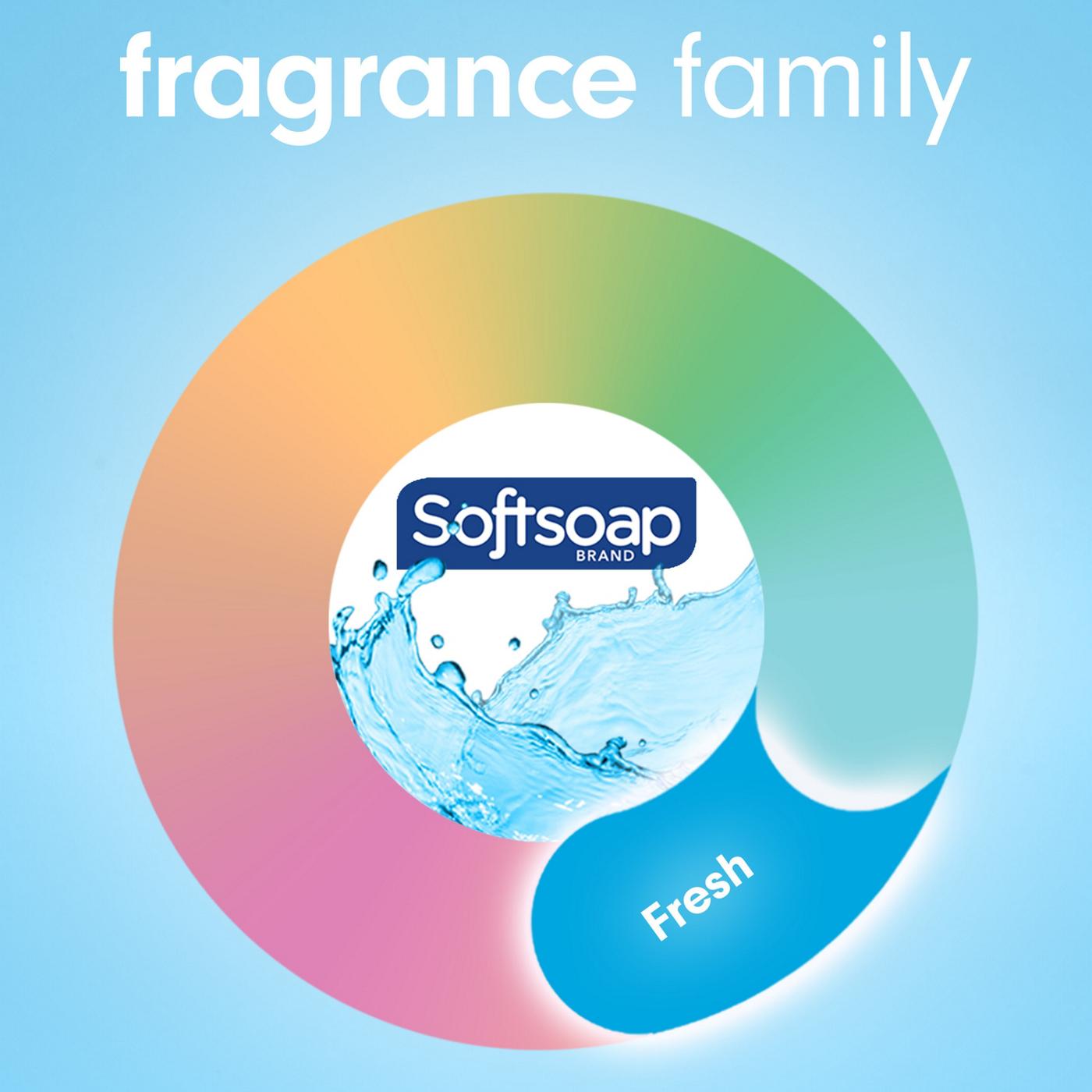 Softsoap Antibacterial Hand Soap - Cool Splash; image 4 of 9