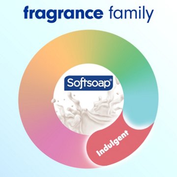 Softsoap Moisturizing Liquid Hand Soap - Vanilla & Coconut, 11.25 oz