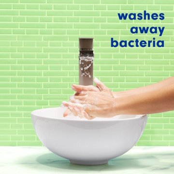 Softsoap Antibacterial Hand Soap - Sparkling Pear