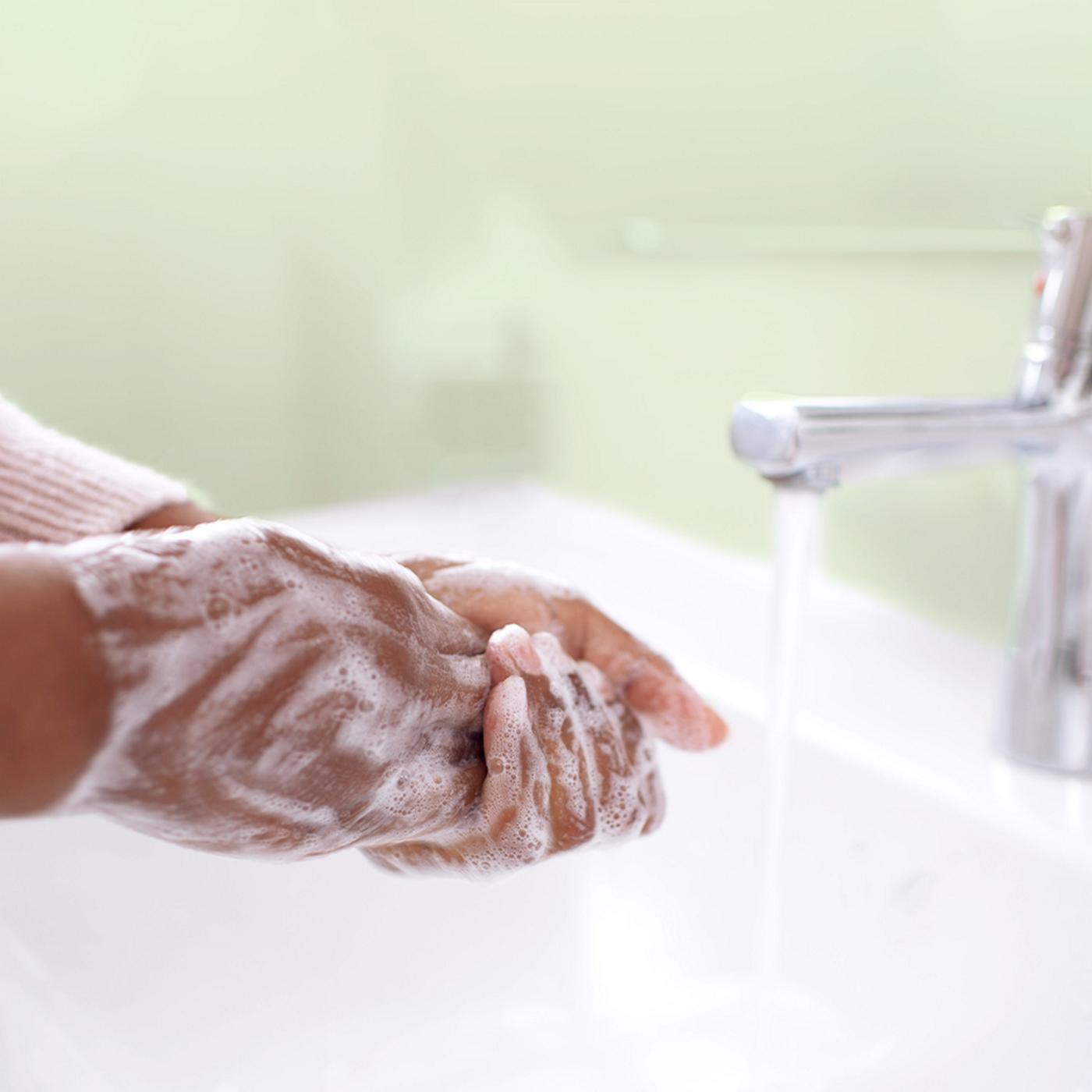 Dial Complete Clean + Gentle Antibacterial Foaming Hand Wash, Aloe Scent; image 9 of 9