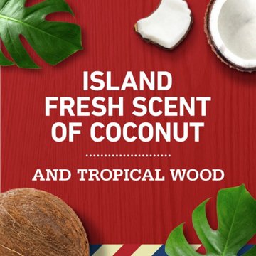 Old Spice 2 in 1 Shampoo Conditioner - Fiji