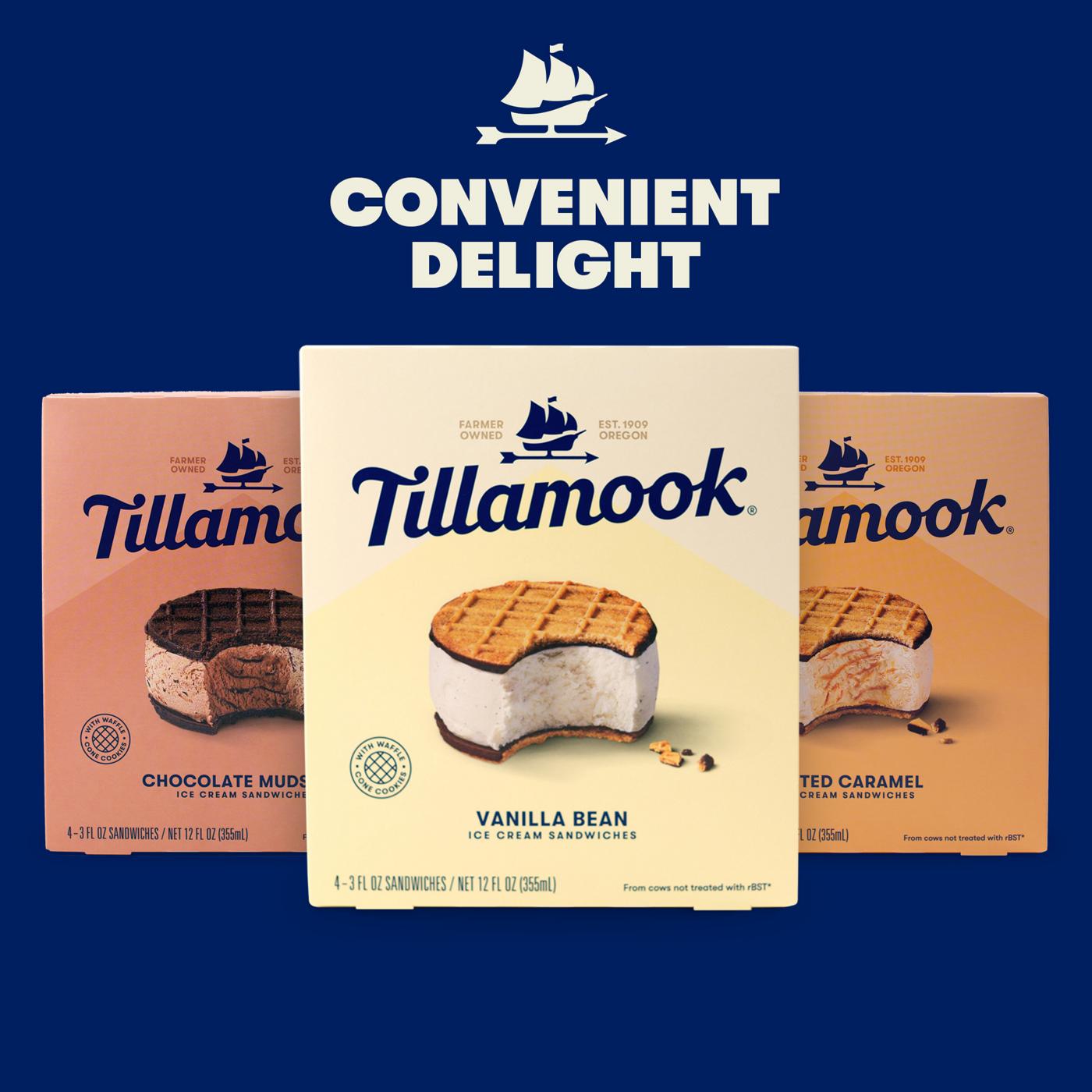 Tillamook Salted Caramel Ice Cream Sandwiches; image 4 of 7