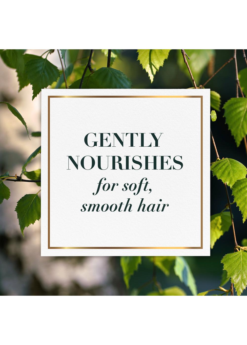 Herbal Essences biorenew Birch Bark Extract Conditioner Shop Shampoo