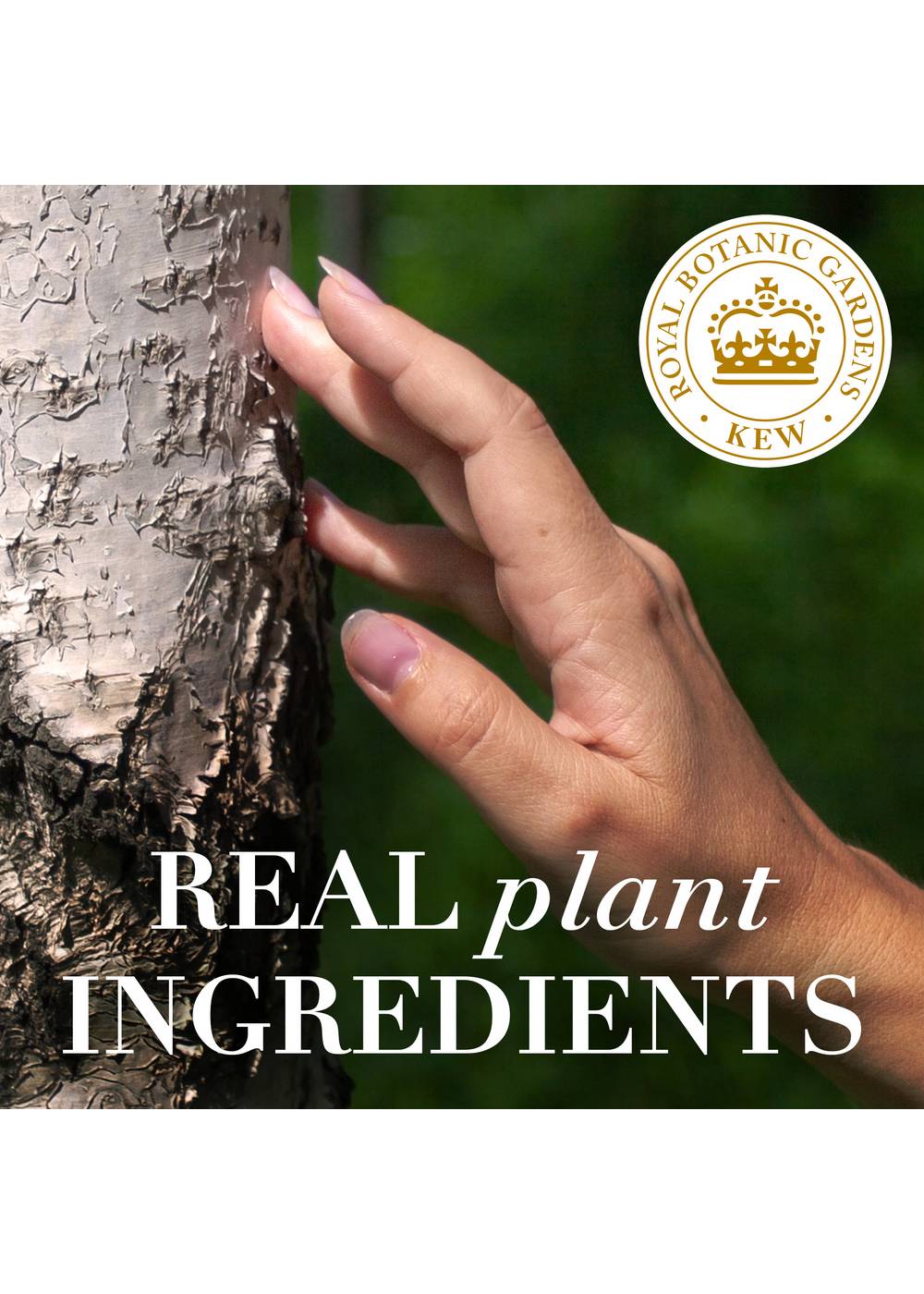 Herbal Essences biorenew Birch Bark Extract Conditioner Shop Shampoo