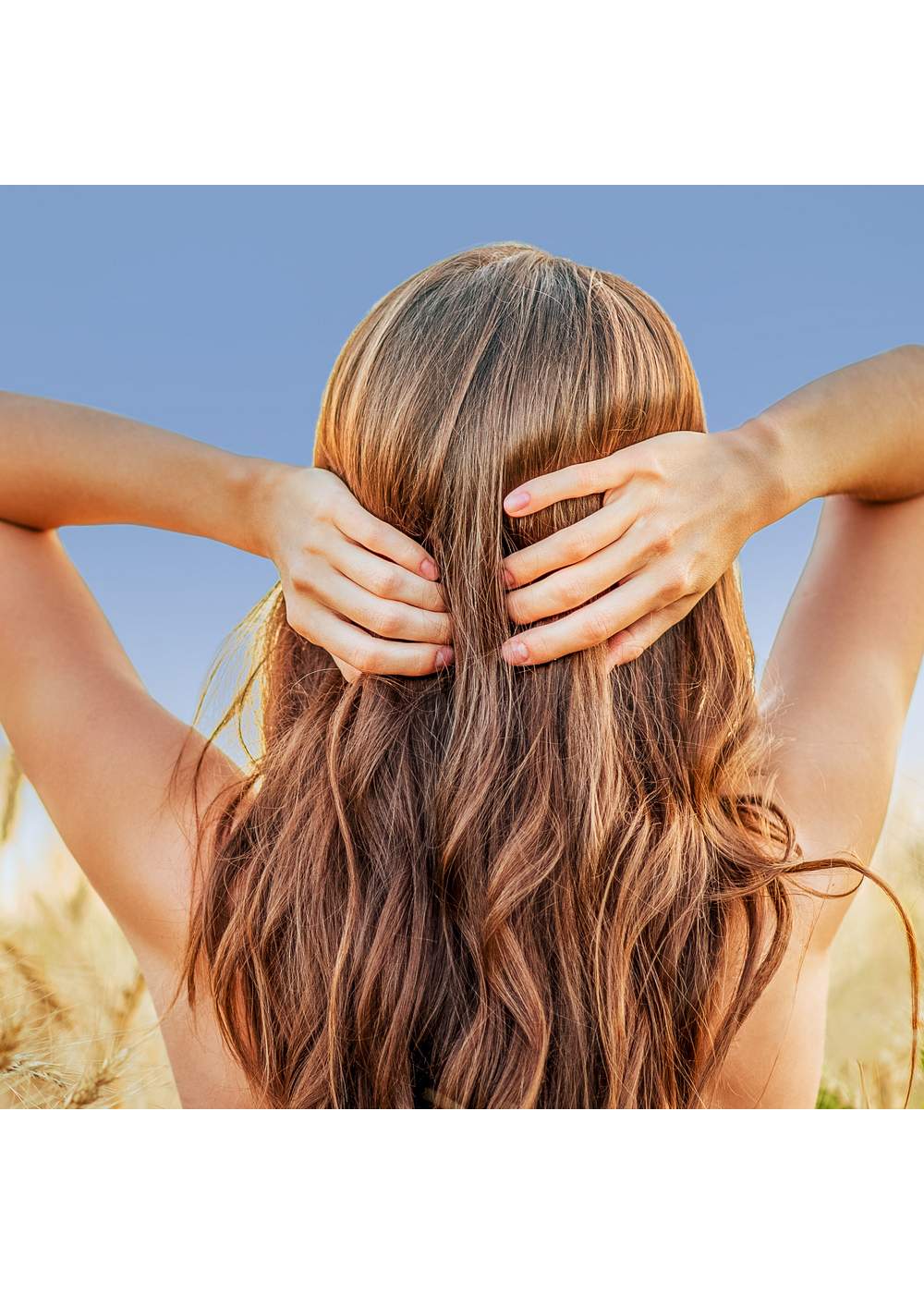 Herbal Essences biorenew Birch Bark Extract Conditioner Shop Shampoo