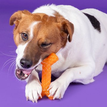 Woof & Whiskers TPR Floating Bone Dog Toy