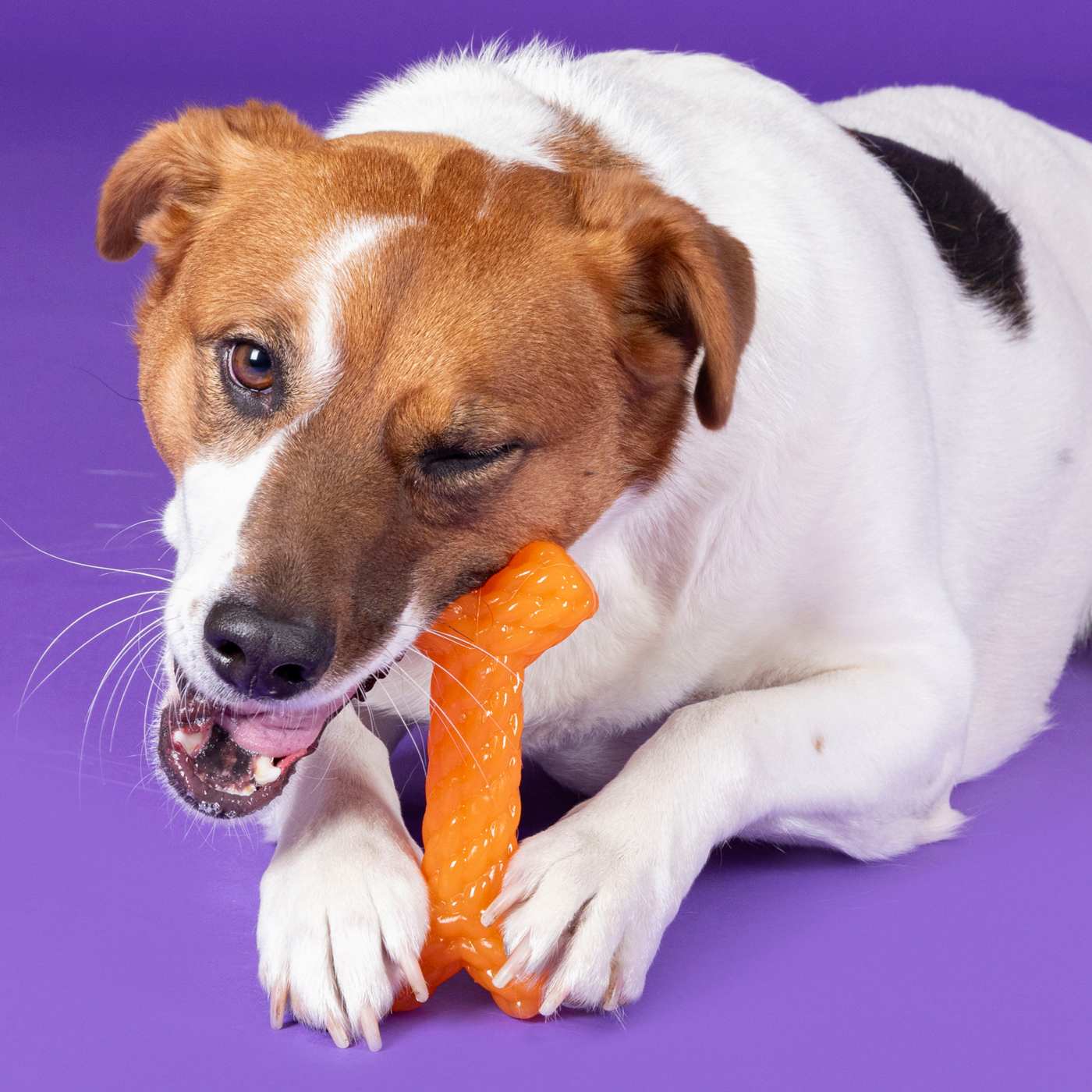 Woof & Whiskers TPR Floating Bone; image 3 of 4