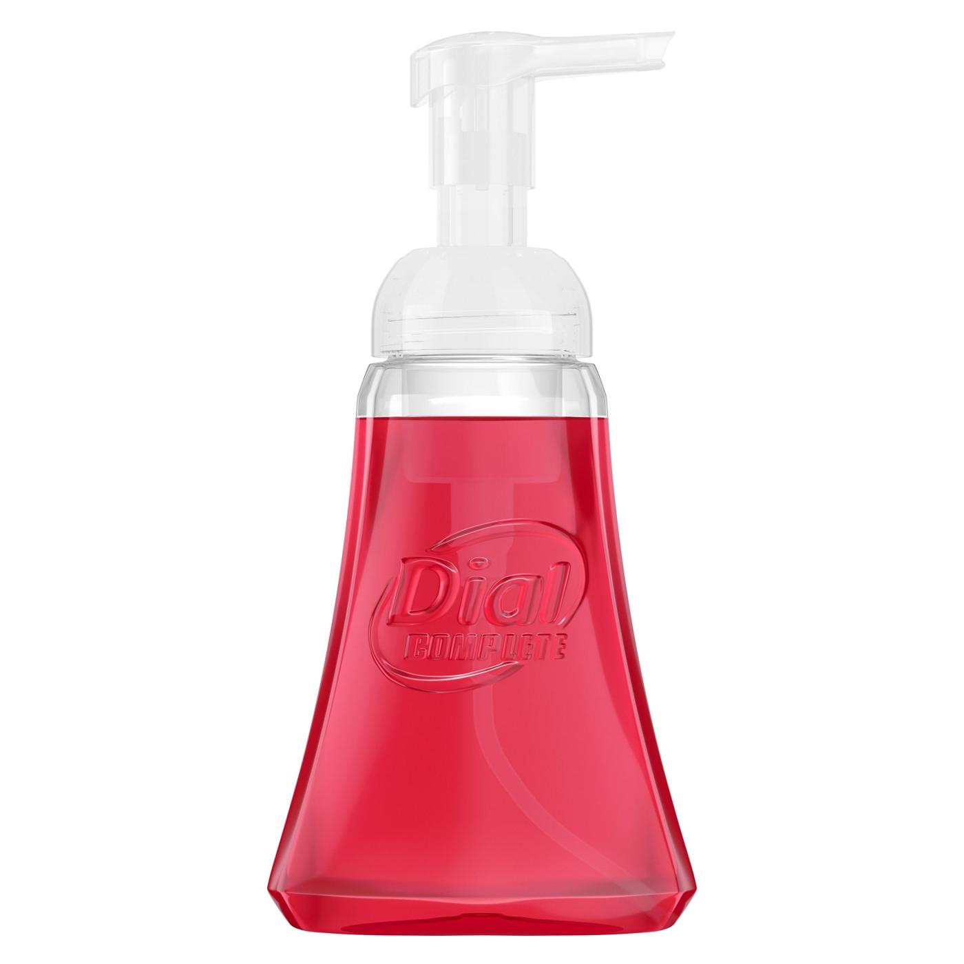 Dial Complete Antibacterial Foaming Hand Wash, Power Berries; image 6 of 7