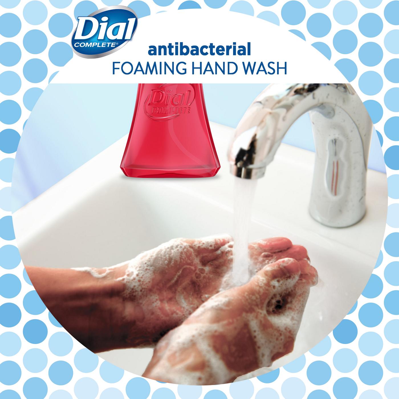 Dial Complete Antibacterial Foaming Hand Wash, Power Berries; image 7 of 7