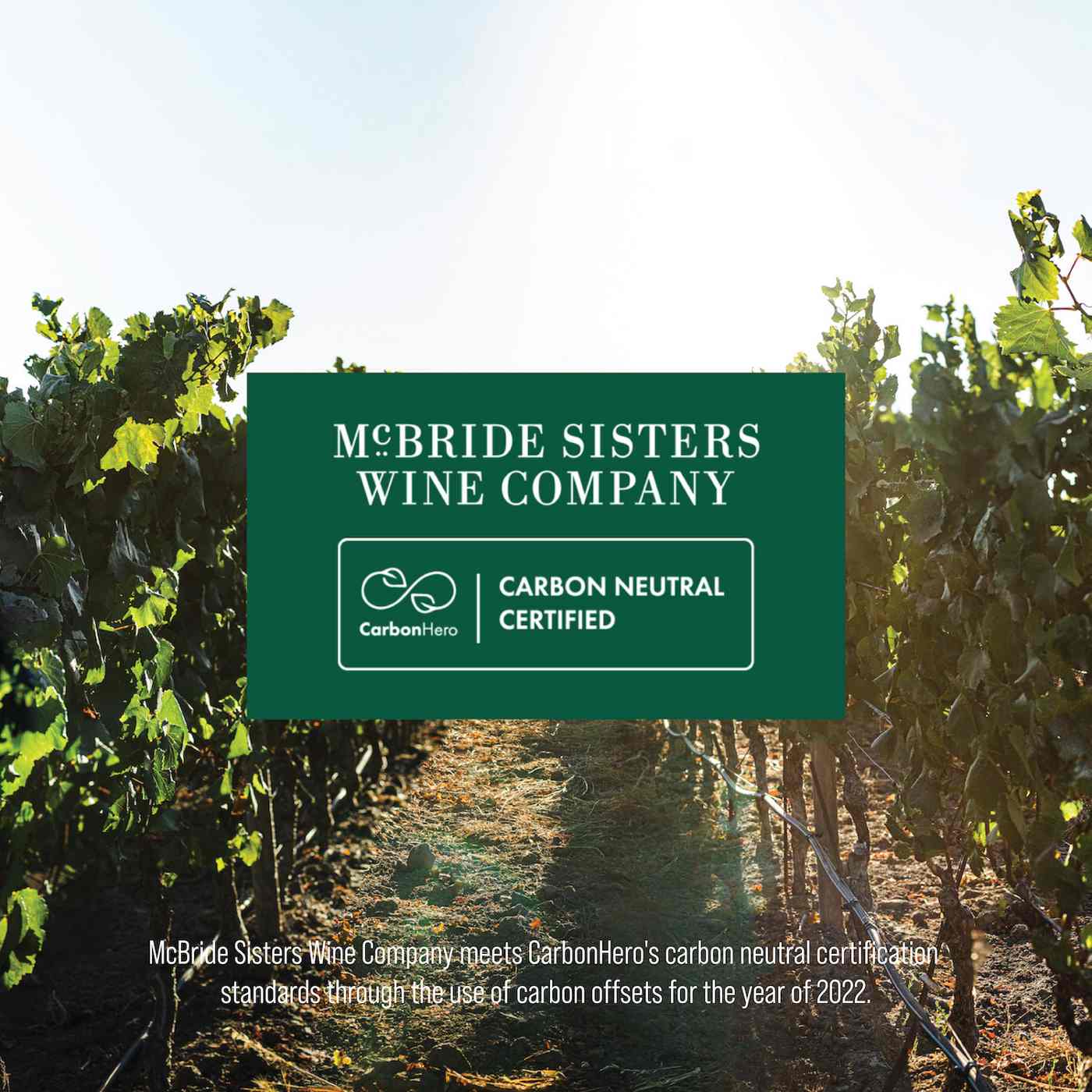 McBride Sisters Sparkling Brut Rosé Wine; image 4 of 7