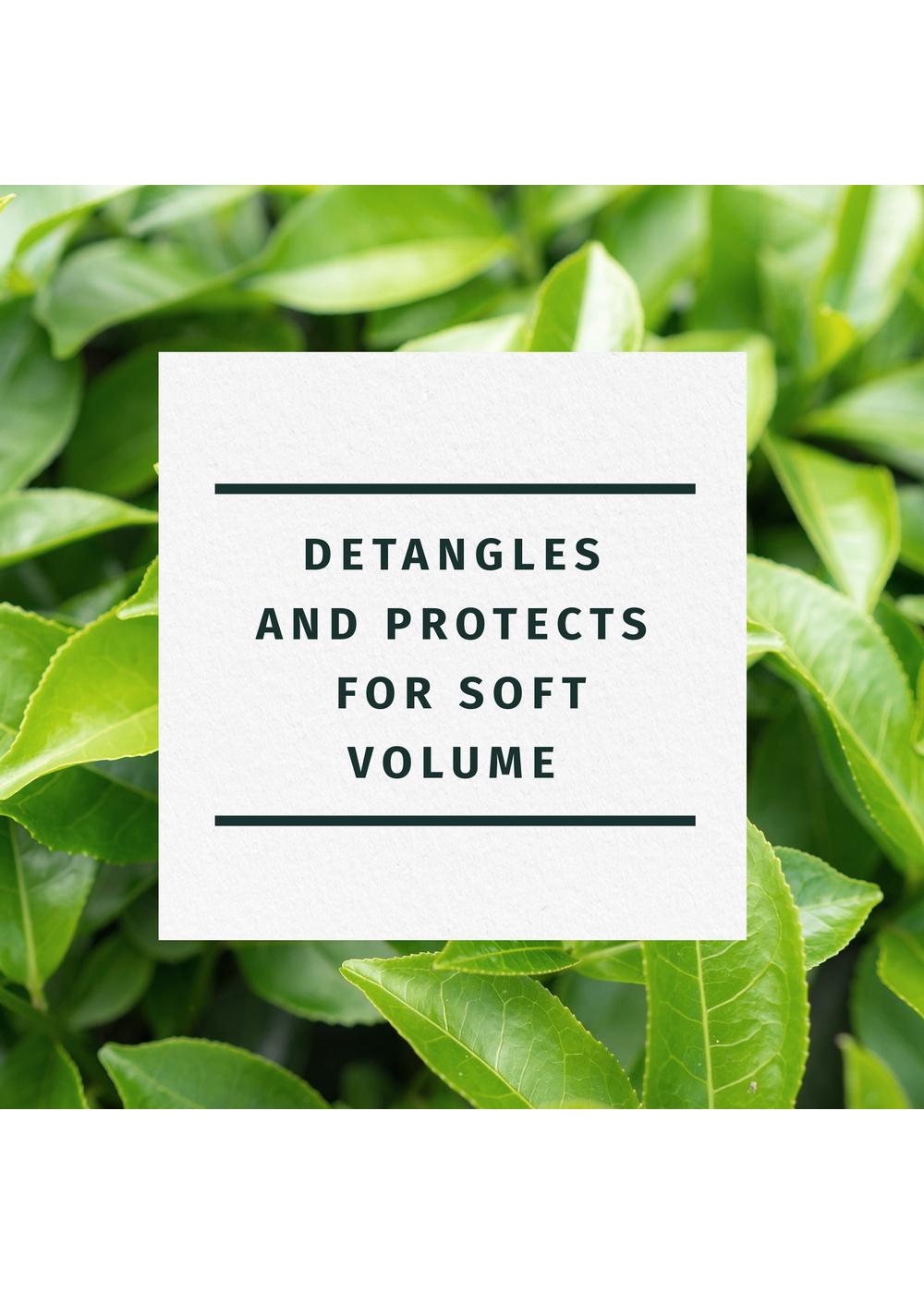 Herbal Essences Clarifying Conditioner Tea Tree Shop Shampoo